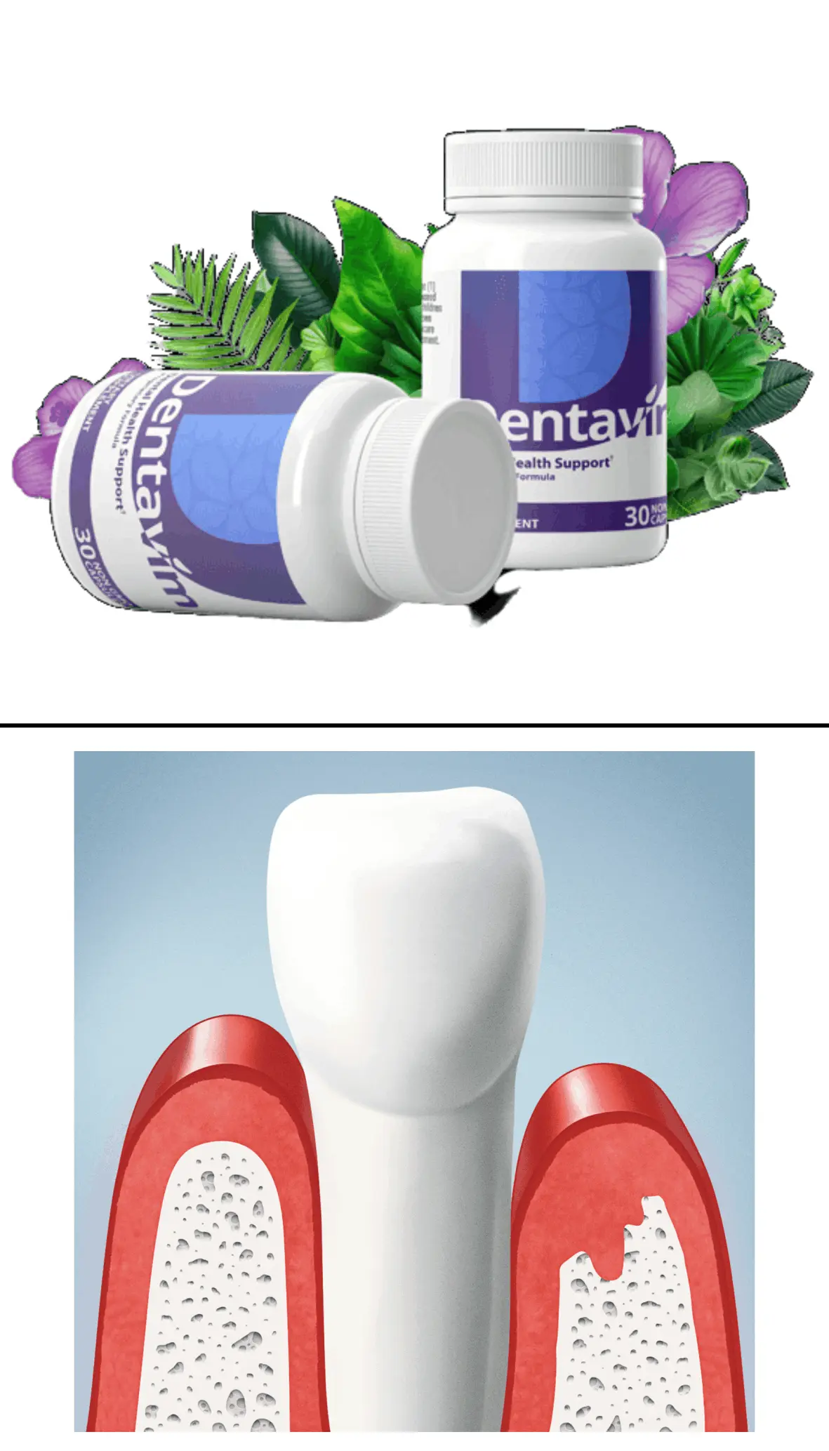 dentavim supplement